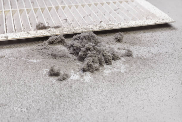 Best Ductwork Cleaning Services  in Sterling, IL